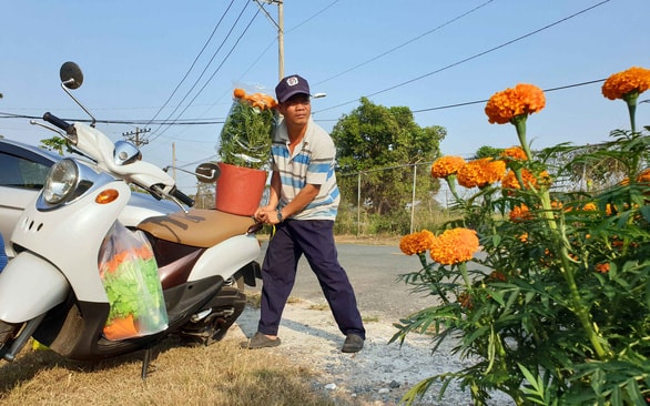 Những chậu bông vạn thọ đã hết rất nhanh sau khi câu chuyện được chia sẻ trên mạng xã hội. Ảnh Tuổi trẻ