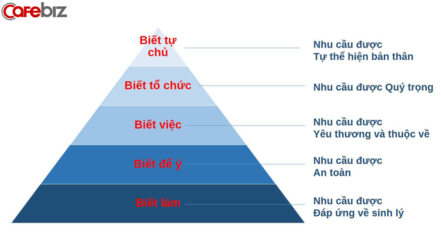 Hình 2: Mô hình Tháp chuyên nghiệp để cá nhân vươn lên nhằm thỏa mãn các nhu cầu tâm lý của bản thân theo Tháp Maslow