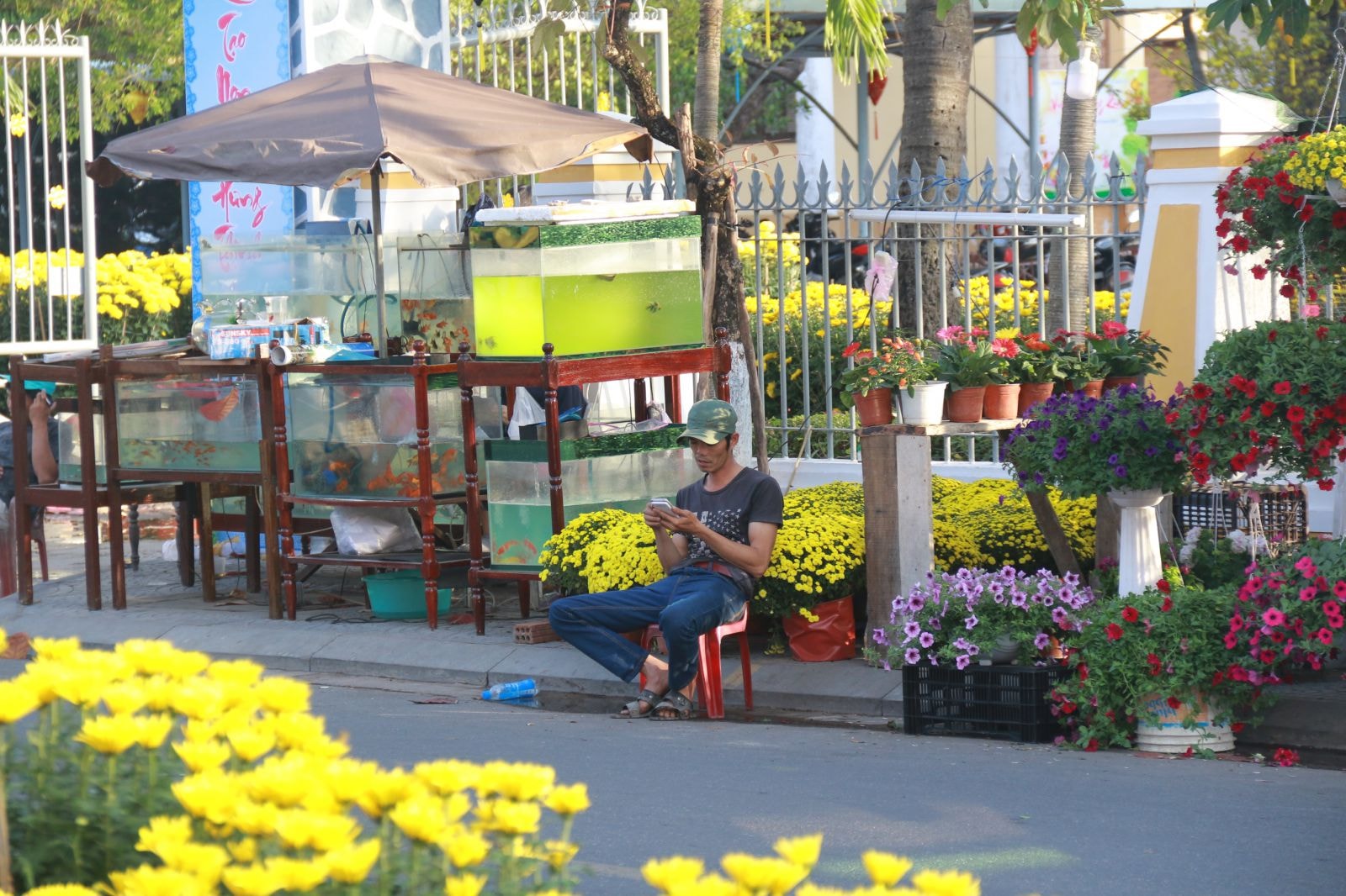 Người bán hoa rãnh rỗi đến mức chẳng biết làm gì ngoài bấm điện thoại.