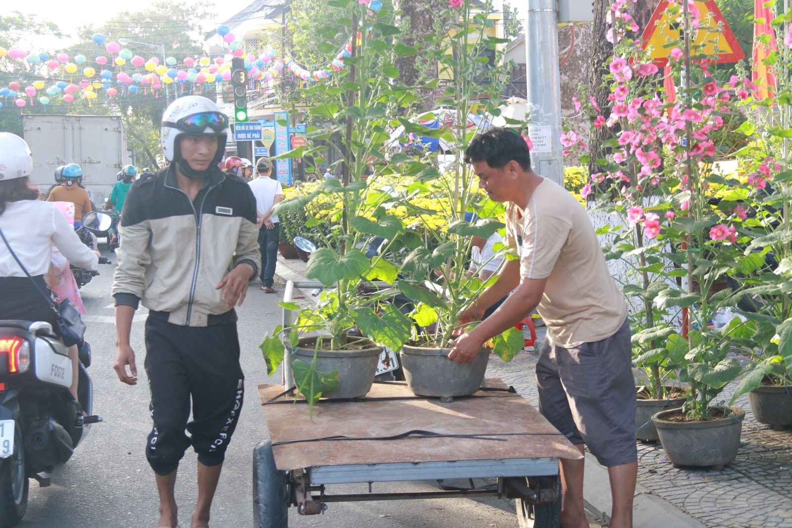 Cả người bán hoa và người chở hoa cùng chung nỗi buồn khi nhu cầu mua hoa giảm