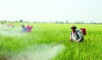 Quyền bề mặt và tích tụ ruộng đất