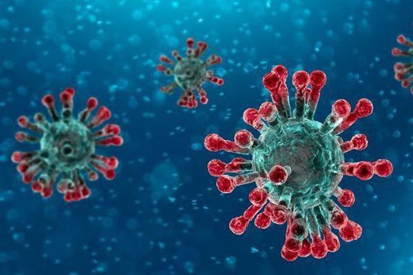 Nhiều tín hiệu tích cực trong việc ngăn chặn dịch bệnh cúm do virus Corona 