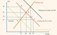 nCov, khẩu trang và kiểm soát cung cầu