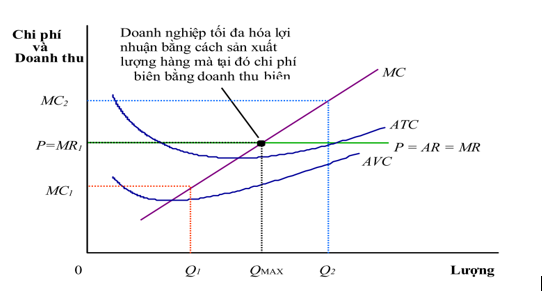 Hình minh họa này được lấy từ nguồn: N. Gregory Mankiw (2011), Principles of Economics, 6th edition, Cengage Learning, trang 284.