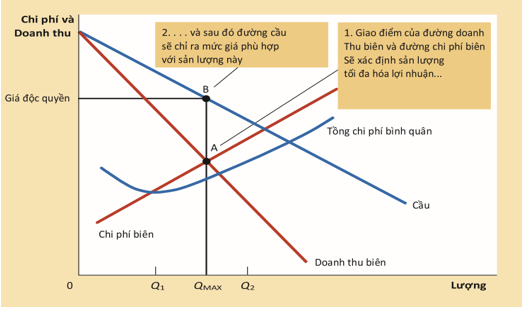 Hình minh họa này được lấy từ nguồn: N. Gregory Mankiw (2011), Principles of Economics, 6th Edition, Cengage Learning, trang 307