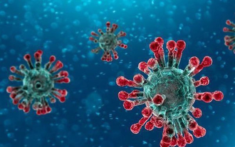  Virus Corona mới có tên gọi chính thức là SARS-CoV-2