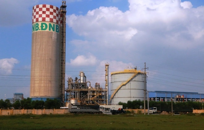Có 152 thiết bị nhập khẩu (giá trị 50,546 triệu USD) không được Ban QLDA Nhà máy Đạm Ninh Bình kê khai hải quan.
