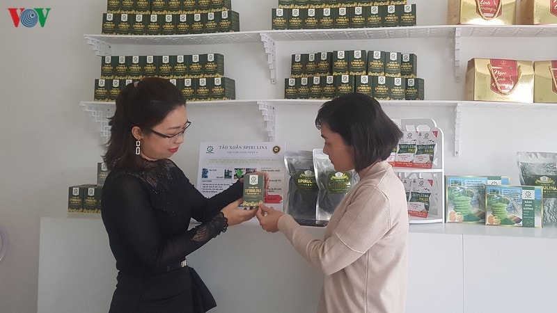 Đinh Nguyễn Hoàng Thư (bên trái) là Giám đốc HTX Công nghệ Mặt Trời Việt.