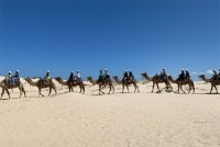 [THƯ GIÃN CUỐI TUẦN] Cuối tuần hoàn hảo ở Port Stephens