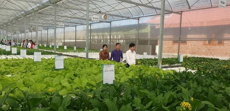 Phong Cách Mới làm chủ nhiều mô hình sản xuất nông nghiệp ứng dụng công nghệ cao