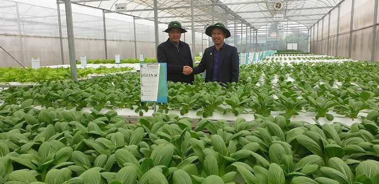 ông Trần Văn Tân (phải) cùng đối tác tại mô hình sản xuất nhà lưới hình 