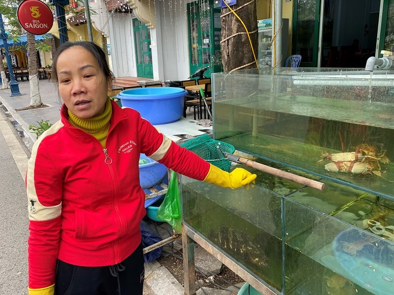 Chị Vân, quản lý nhà hàng Ngọc Lan, Bãi Cháy, Hạ Long cho biết, từ khi dịch bệnh bùng phát cửa hàng không đón nổi một vị khách nào. Ảnh Lê cường