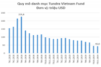 Vì sao Quỹ Tundra Vietnam “lỗ đậm” với cổ phiếu FPT?