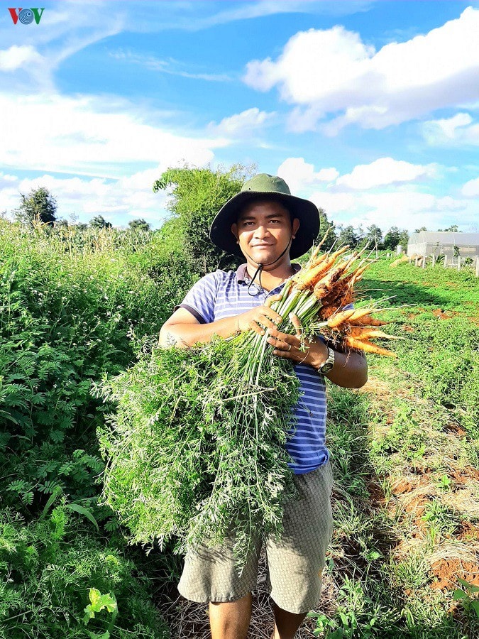 Anh Y Thơ H Wing thu hoạch rau sạch tại Vườn Tử tế
