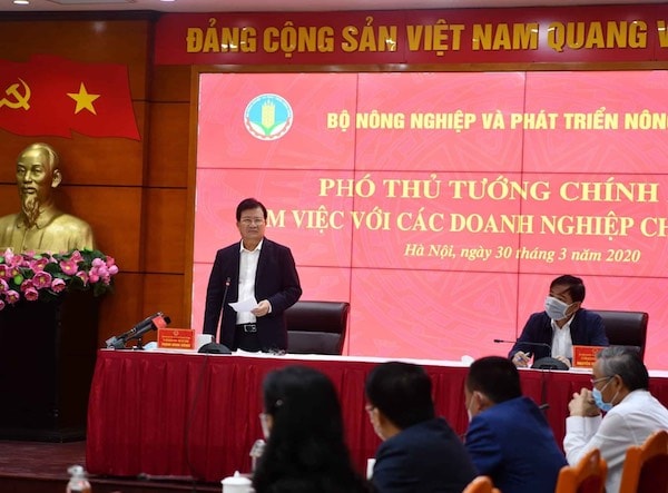 Phó Thủ tướng Trịnh Đình Dũng chủ trì cuộc họp với 15 doanh nghiệp lớn về chăn nuôi lợn.