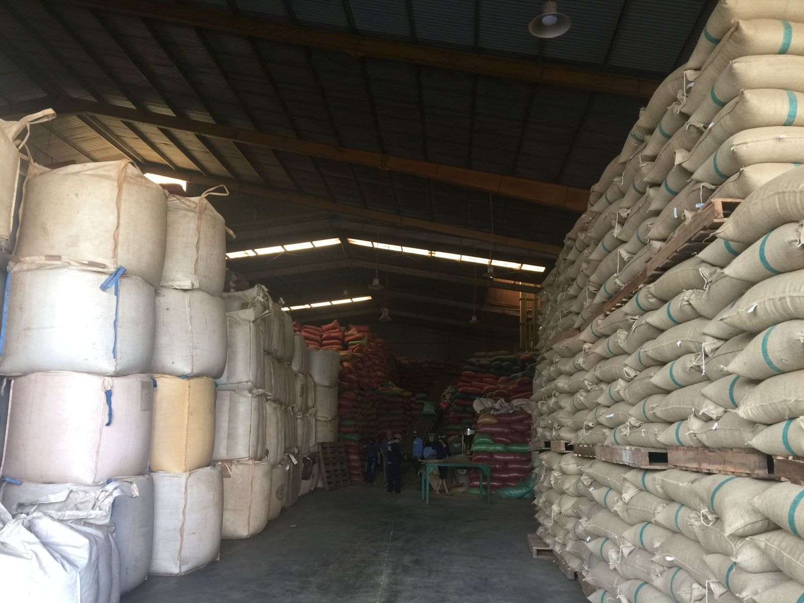 Hiện ngành cà phê có lượng hàng tồn kho rất lớn, tuy nhiên các công ty vẫn buộc phải mua vào nhằm đảm bảo bình ổn thị trường. 