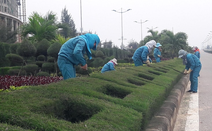 Công nhân Trung tâm Công viên cây xanh Đồng Hới cắt tỉa và tạo dáng cho cây cảnh