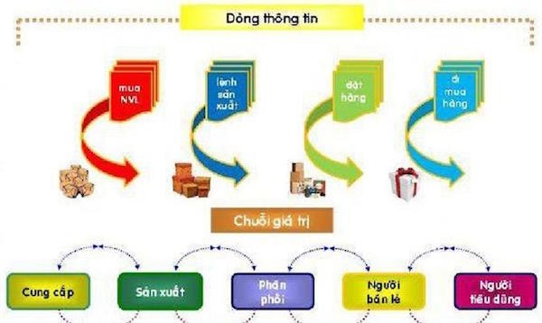 Theo kết quả khảo sát của CEL, 80% doanh nghiệp đã hoặc đang xem xét triển khai các chương trình khuyến mãi đặc biệt để đảm bảo doanh số tối thiểu và 60% trong số họ đã thực hiện những thay đổi trong dòng sản phẩm của mình. “Đây là giai đoạn mà các công ty cần phải đổi mới và tự sắp xếp lại với lượng nhu cầu mới, khuôn mẫu và xu hướng mới.