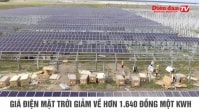 [THỜI SỰ NGÀY 7/4] GIÁ ĐIỆN MẶT TRỜI GIẢM VỀ HƠN 1.640 ĐỒNG MỘT KWH