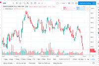 Cổ phiếu SHB tăng trần giữa tâm bão SARS-CoV-2
