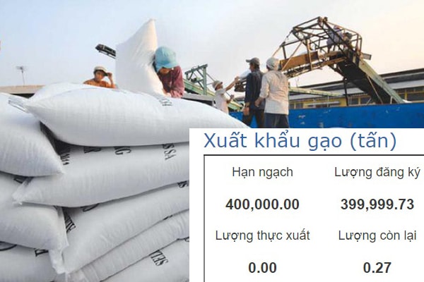 Hạn ngạch xuất khẩu 400 nghìn tấn gạo mau chóng hết chỉ trong ít giờ đăng ký thủ tục hải quan điện tử.