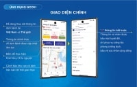 Hải Dương xếp thứ nhất cả nước về khai báo y tế phòng chống dịch COVID-19 trên ứng dụng NCOVI