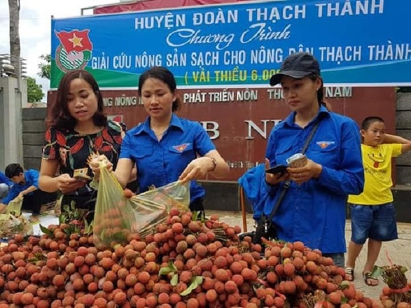 Liệu năm nay có phải 