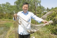 Khởi nghiệp nông nghiệp: Nuôi cá 