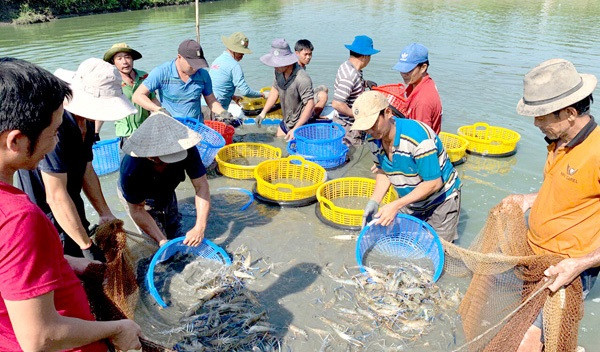 ngành nuôi trồng thủy sản cũng đang là thế mạnh, góp phần vào sự tăng trưởng chung của ngành chăn nuôi trên địa bàn tỉnh.