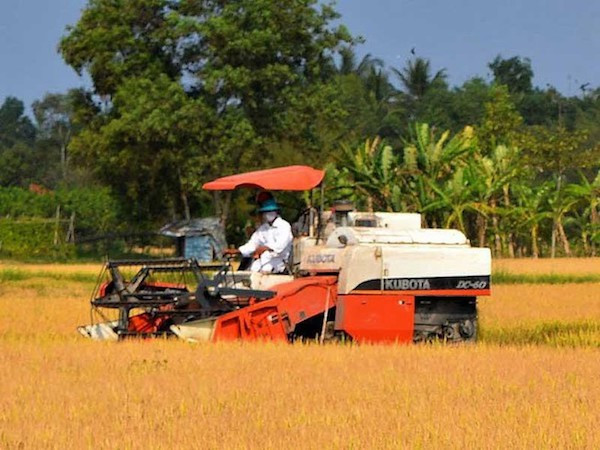 Phó Thủ tướng cũng đồng ý với đề xuất của các Bộ: Công Thương, Nông nghiệp và Phát triển nông thôn, Tài chính về việc cho phép xuất khẩu nếp.p/Theo đó, cho phép xuất khẩu gạo nếp bao gồm: thóc nếp, gạo nếp, tấm nếp trong tháng 4 năm 2020 theo nhu cầu thị trường, không chịu sự điều chỉnh của cơ chế điều hành xuất khẩu gạo tại văn bản số 2827/VPCP-KTTH ngày 10/4/202