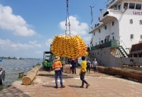 [XUẤT KHẨU GẠO] Đêm nay mở tờ khai, doanh nghiệp vẫn băn khoăn số lượng gạo “kẹt ở cảng”