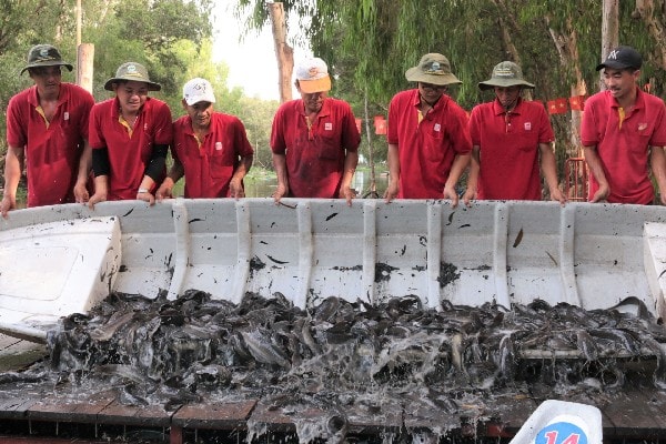 Nhà đầu tư tái tạo nguồn lợi thủy sản bảo vệ môi trường sinh thái cho Trà Sư