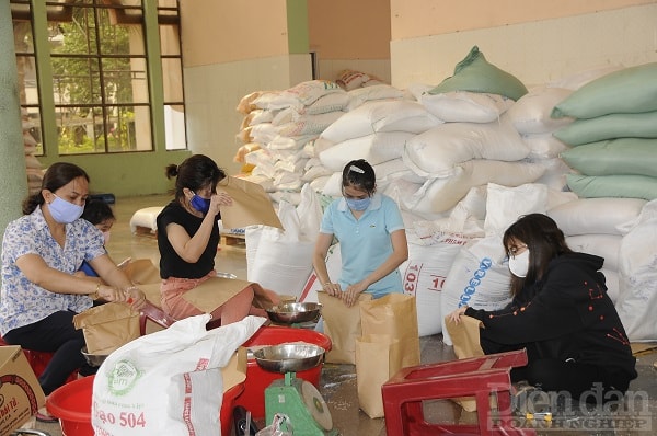 Đội ngũ tình nguyện viên đóng sẵn những túi gạo để phát tận tay người già và người tàn tật...