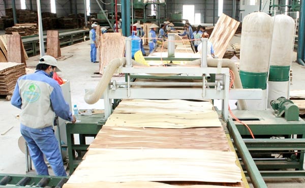 Ván sợi MDF của Việt Nam bị Ấn Độ điều tra chống bán phá giá.