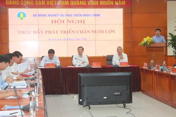 Hội nghị