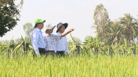 Tiền Giang và lời giải cho 