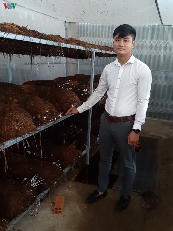 Hứa Trường Giang bên mô hình nuôi nấm rơm