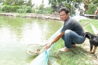 Khởi nghiệp nông nghiệp: Thu vài trăm triệu đồng mỗi năm từ cá chạch quế