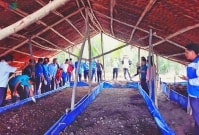 Khởi nghiệp nông nghiệp: 9x khởi nghiệp thành công nhờ nuôi trùn quế