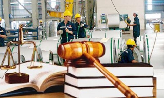 Các biện pháp bảo hộ ngày càng đa dạng, phong phú.