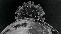 Thư gửi Startup: Thiên Nga Đen – Corona Virus