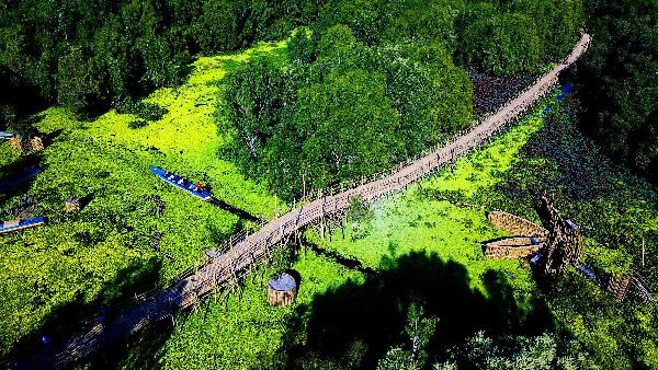 Cầu tre vạn dặm tại Khu du lịch Rừng Tràm Trà Sư xác lập kỷ lục cầu tre dài nhất Việt Nam.