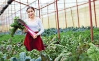 Bài học trên con đường khởi nghiệp của nhà sáng lập Đà Lạt Ecofarm