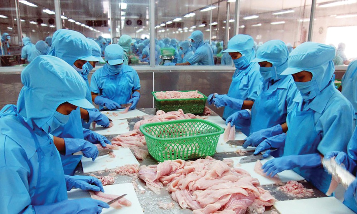 p/Việc gia tăng doanh thu giữa đại dịch COVID - 19 là nhờ Vĩnh Hoàn đã đẩy mạnh xuất khẩu vào Mỹ và châu Âu, với mức tăng 35% và 68%.