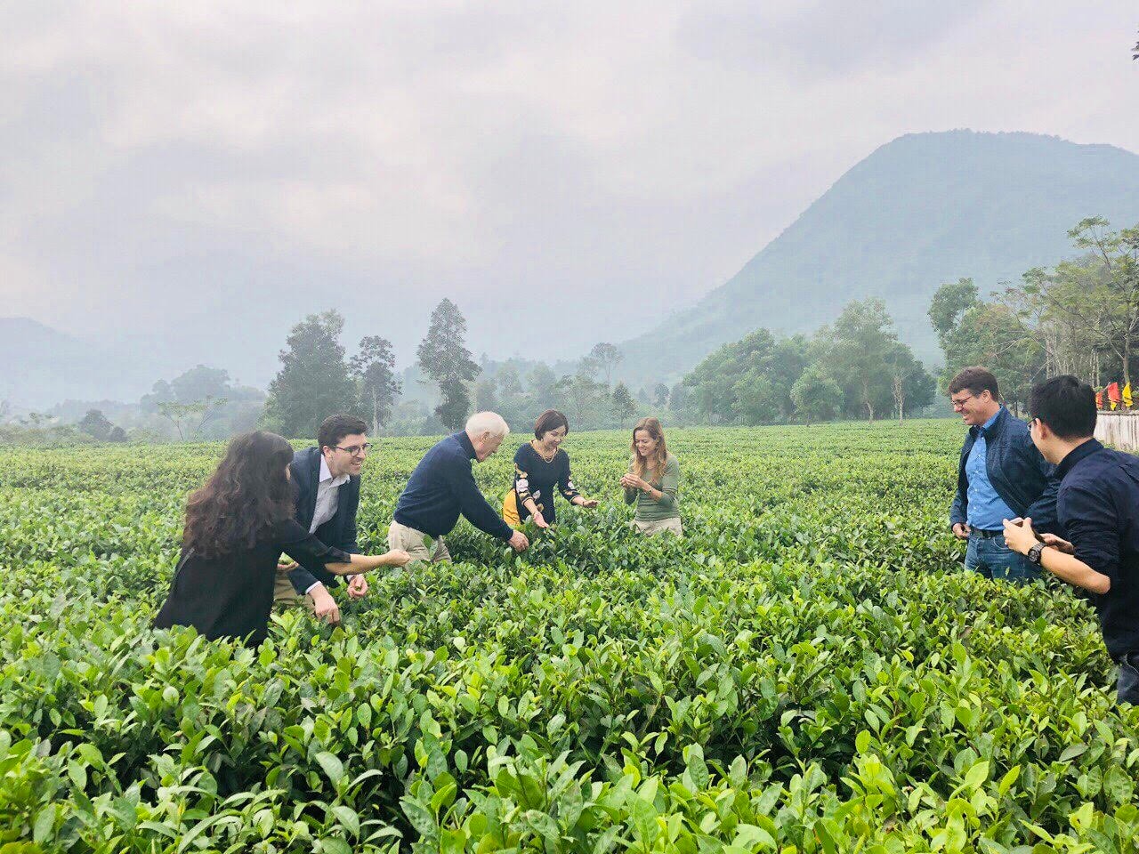 Du lịch sinh thái, trải nghiệm tại các đồi chè, hướng đi mới cho ngành du lịch Thái Nguyên