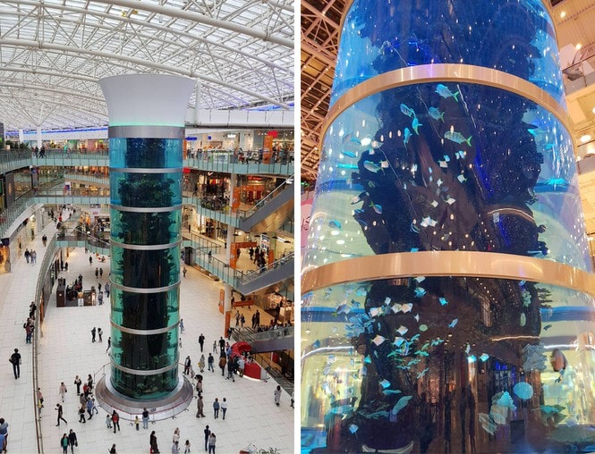 Bể cá hình ống với chiều cao lên tới gần 20m tại một trung tâm thương mại Aviapark tại Moscow (Nga). 