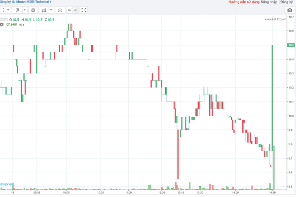 Cổ phiếu TDH vẫn giữ được sắc xanh trong khi nhiều cổ phiếu khác sập sàn trắng bên mua