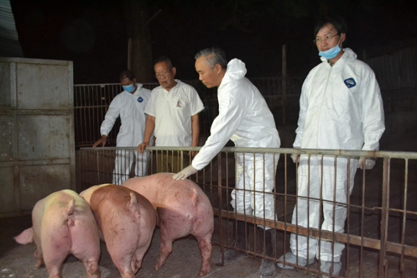 “thực hiện tái đàn là một trong những biện pháp quan trọng để giảm giá thịt heo”. Tuy nhiên, việc tái đàn chỉ nên thực hiện ở những trang trại có đủ điều kiện chăn nuôi sinh học.