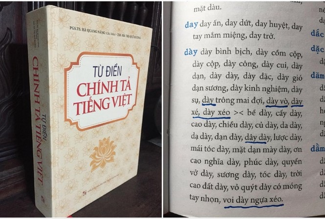Cuốn từ điển chi chít lỗi chính tả của NXB Đại học Quốc gia Hà Nội Ảnh: HOÀNG TUẤN CÔNG