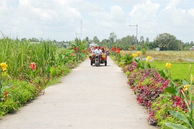 Diện mạo NTM ở Đồng Tháp ngày càng khởi sắc.